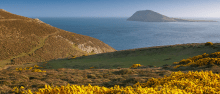 Ynys Enlli Bardsey Island, © Crown copyright (2015) Visit Wales